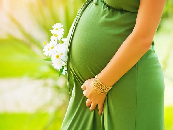 惠州供卵公司助孕-赴美生子的月度补贴是多少？美国生育补贴政策解读